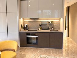Cuscaden Reserve (D10), Condominium #627405931